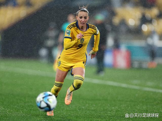 瑞典女足比赛